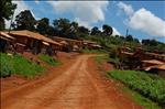 Road Through Village